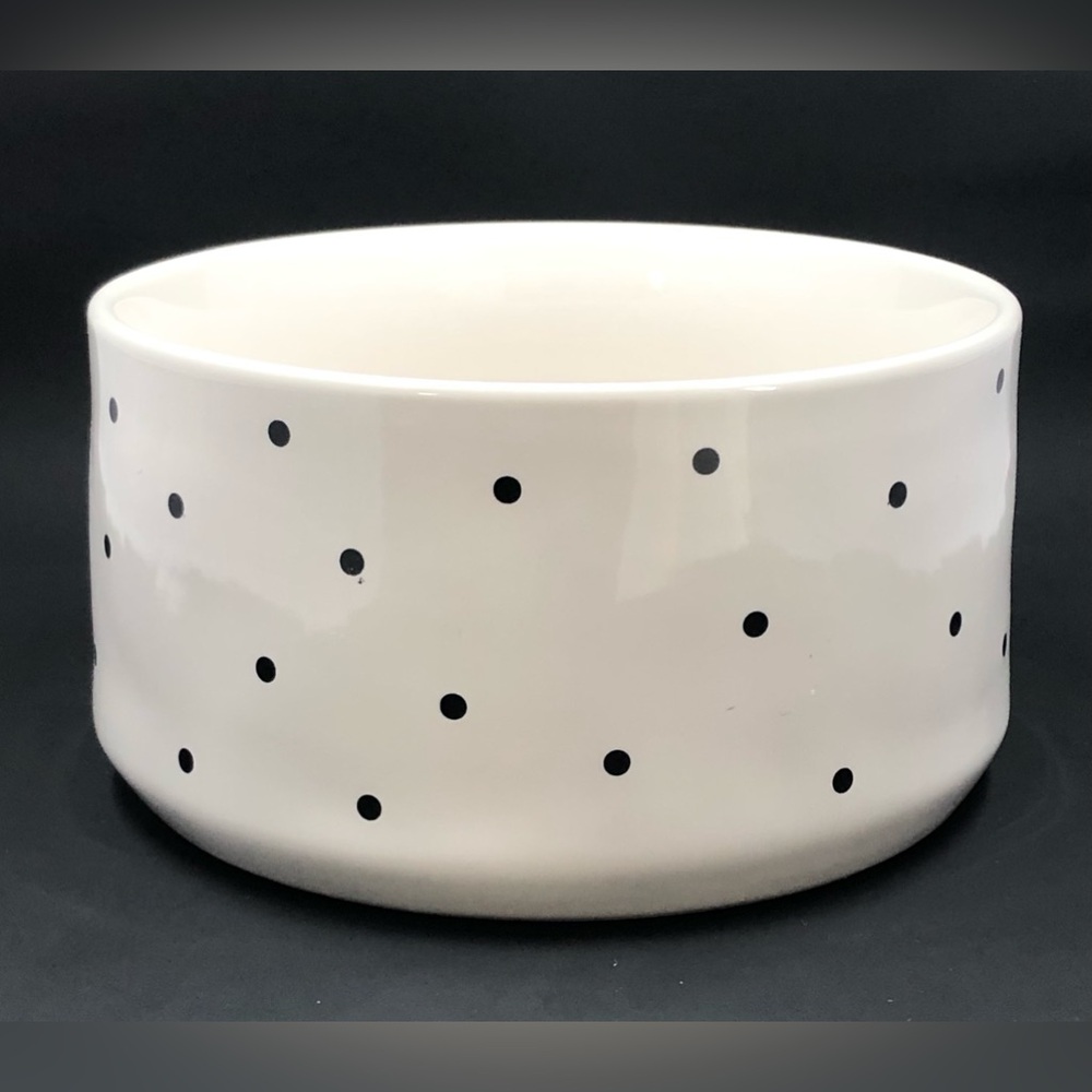 Rae Dunn Peanuts Pet Dog Bowl Halloween Spooktacular Snoopy & Woodstock - Picture 4 of 16